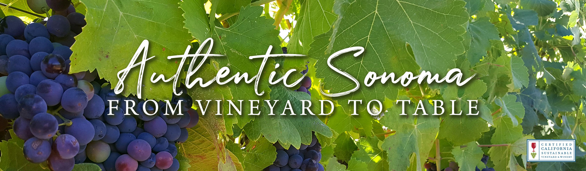 Authentic Sonoma from Vineyard to Table