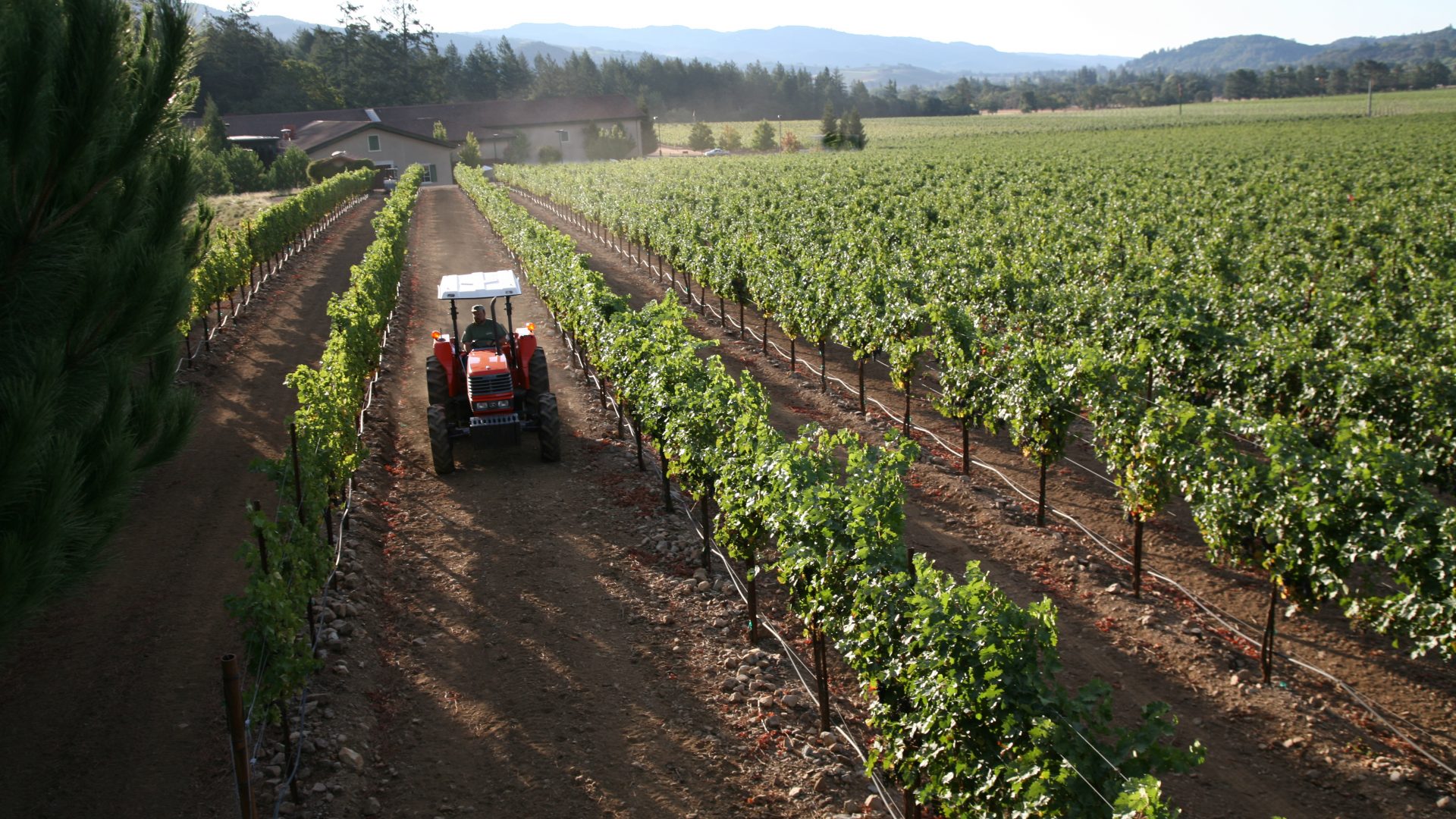 tractor tiling Wild Oak Vineyard
