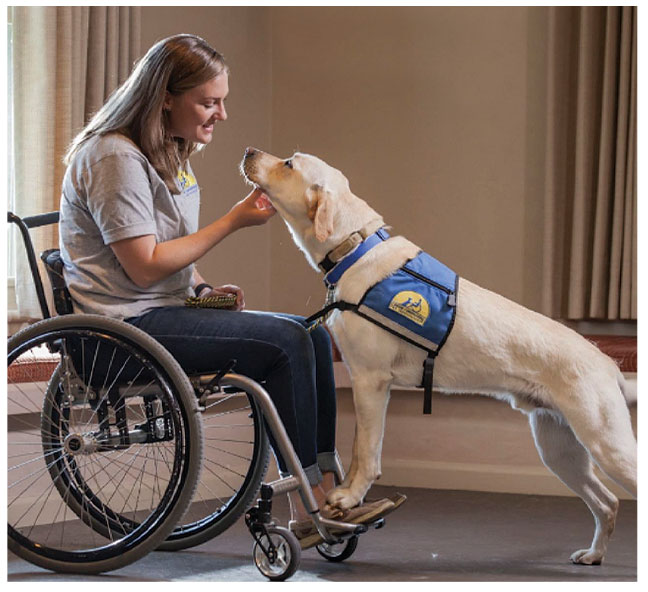 Canine Companions provides service dogs to those in need