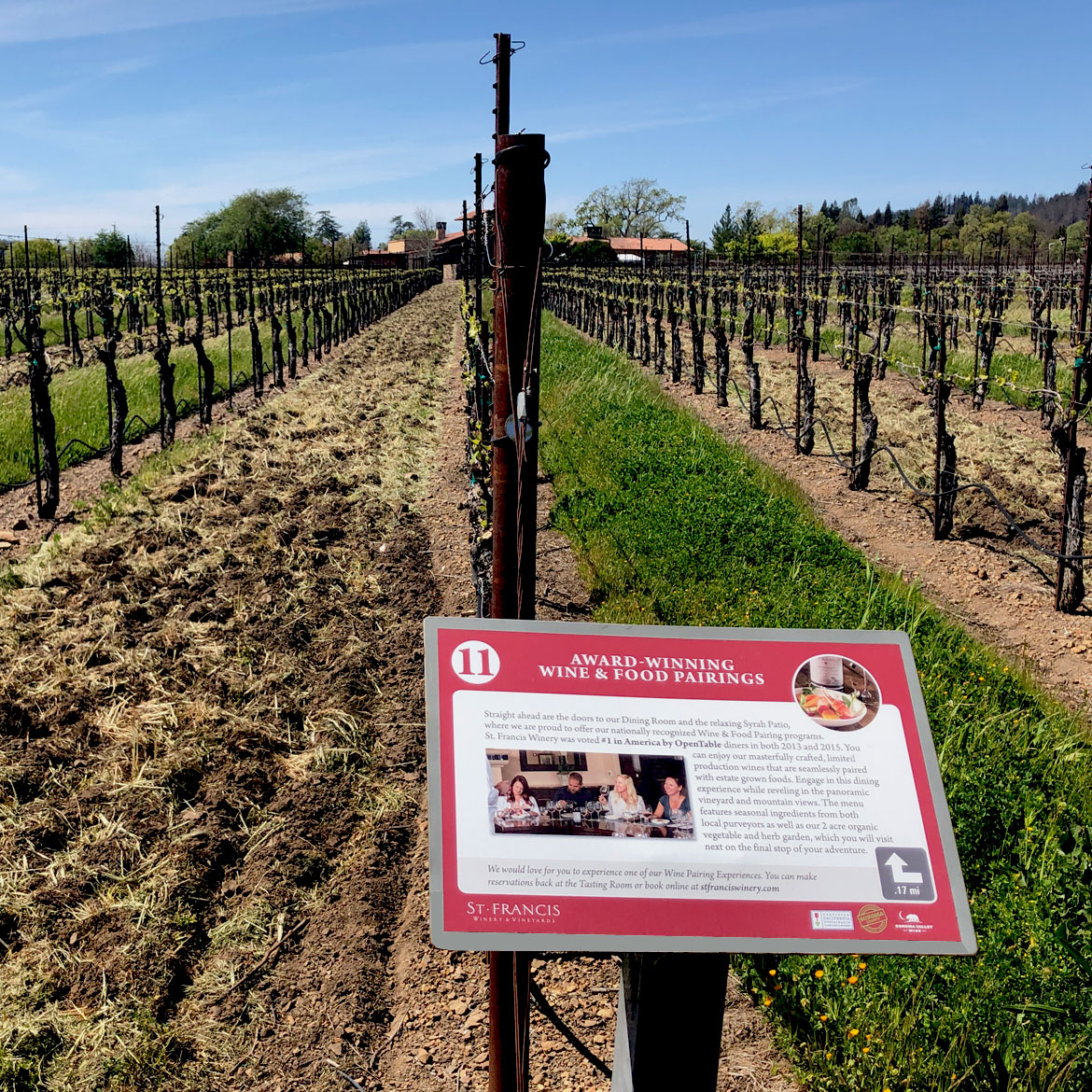 Vineyard Adventure Sign