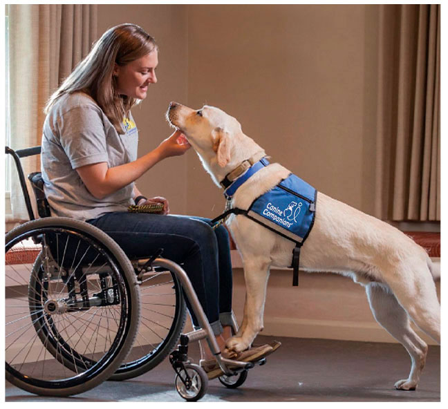 Woman and support animal - Canine Companions