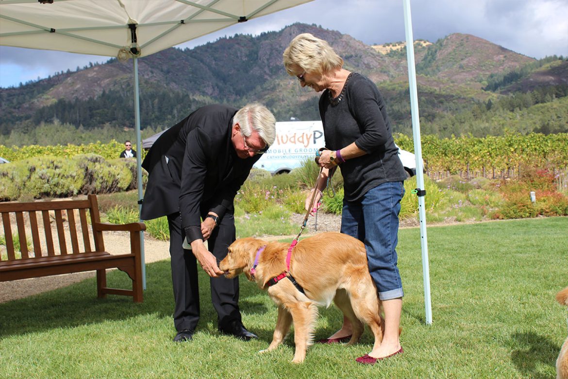 Blessing of the Animals lab