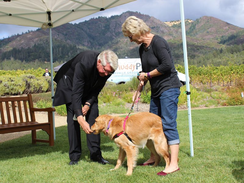 Blessing of the Animals lab