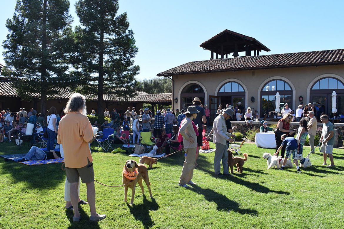 Blessing of the Animals at St. Francis