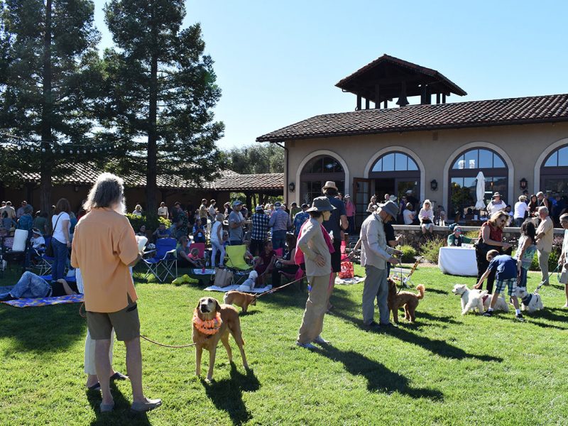 Blessing of the Animals at St. Francis