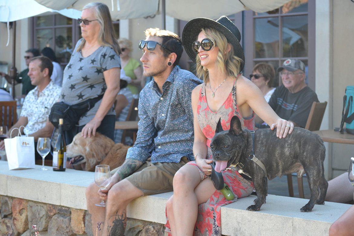 Blessing of the Animals hipster