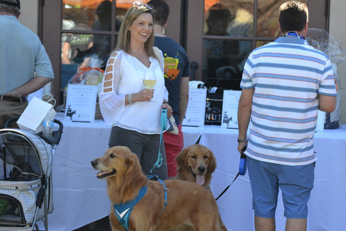 Blessing of the Animals wine by the glass