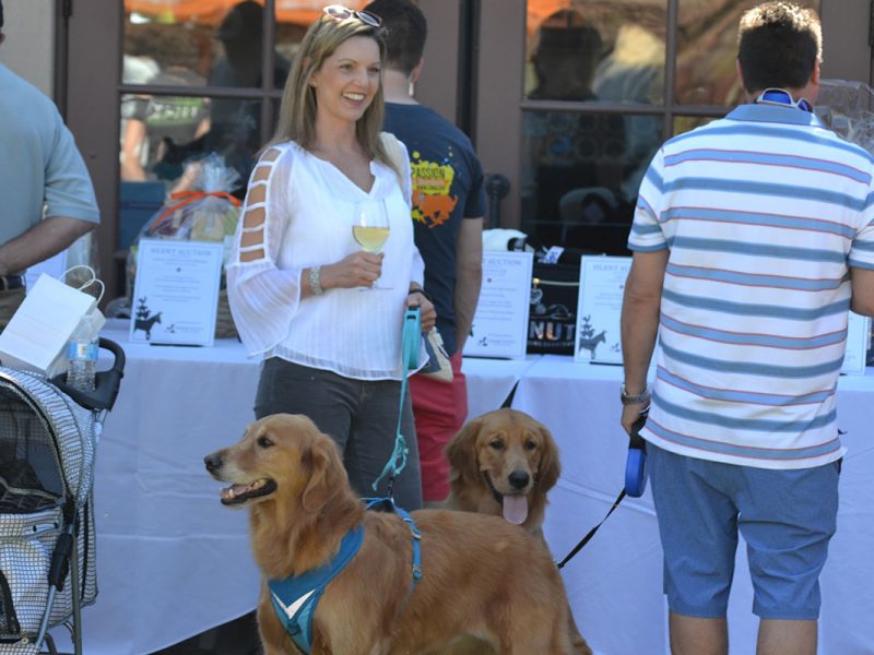 Blessing of the Animals wine by the glass