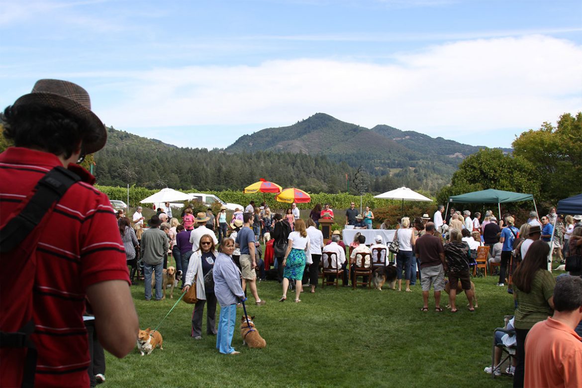 Wienry events for dogs