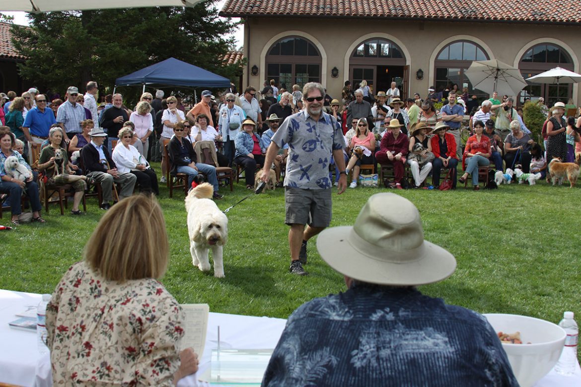 show dog at St. Francis