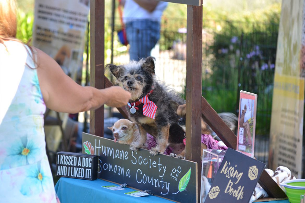 kissing both at Blessing of the Animals