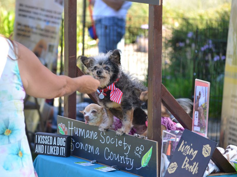 kissing both at Blessing of the Animals