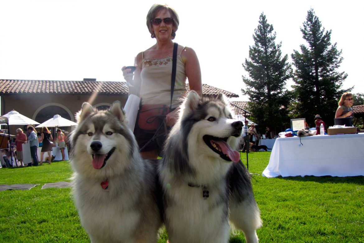 Huskies and wines