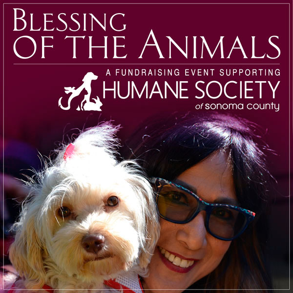 Blessing of the Animals 2022