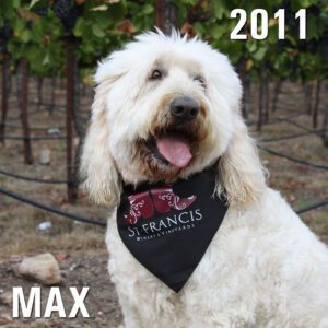 Max - Winery Dog of the Year 2011