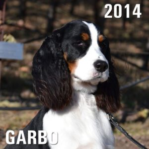 Garbo - Winery Dog of the Year 2014