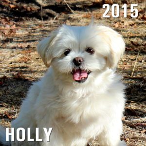 Holly - Winery Dog of the Year 2015
