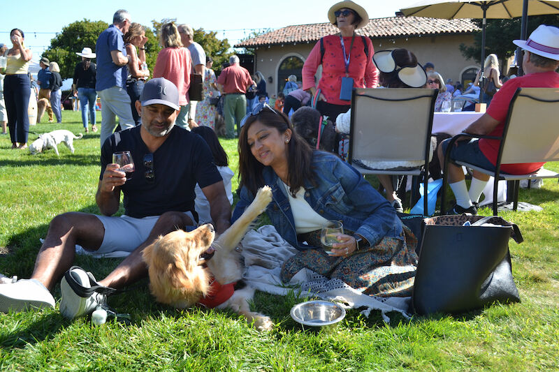 Enjoy good wine and good cuddles at the Blessing of the Animals in Santa Rosa