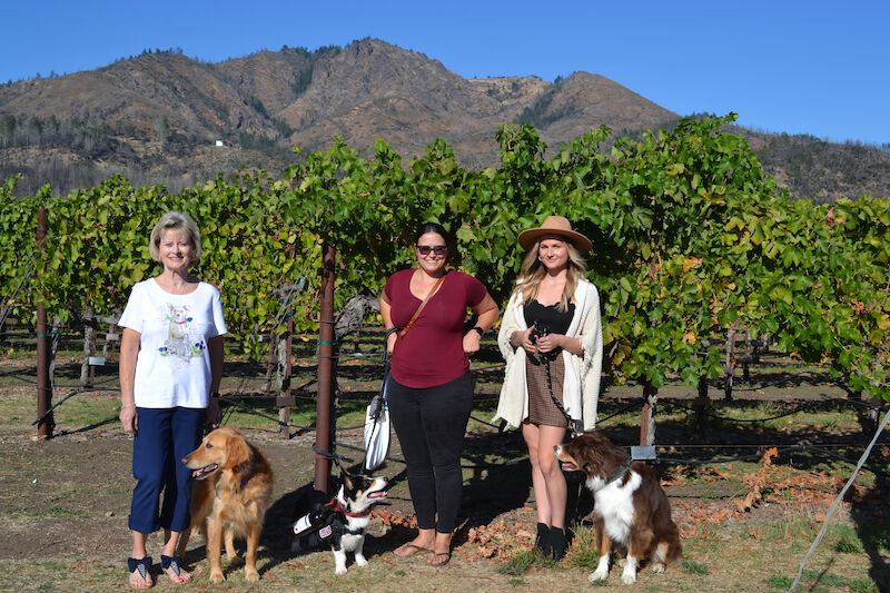 Winery Dog of the year competitors 2022