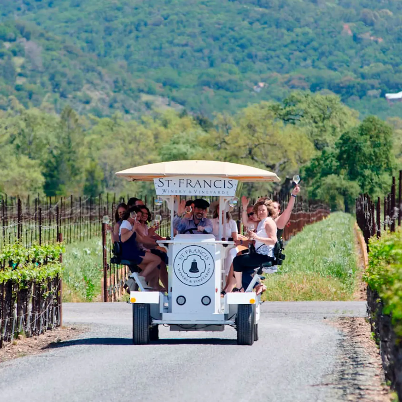 Venture into the vineyards on the Tour de St. Francis