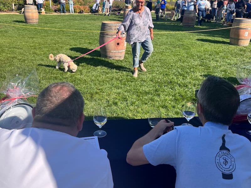 Blessing of the Animals 2024 at St. Francis Winery