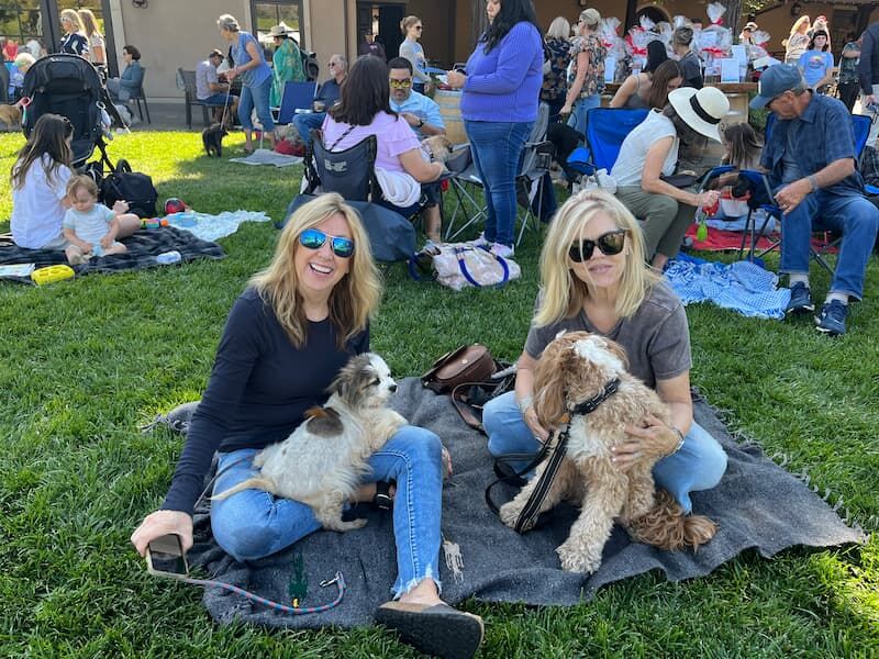 Blessing of the Animals 2024 at St. Francis Winery