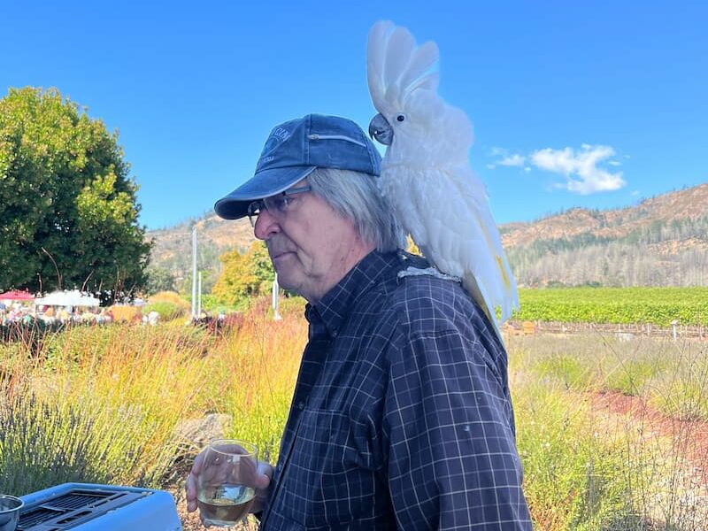 Blessing of the Animals 2024 at St. Francis Winery