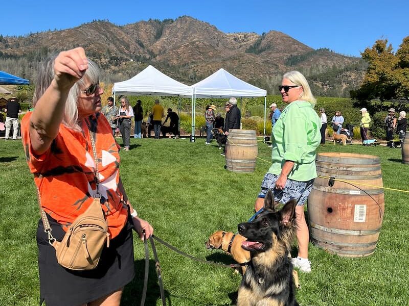 Blessing of the Animals 2024 at St. Francis Winery