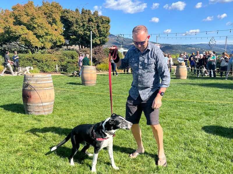 Blessing of the Animals 2024 at St. Francis Winery