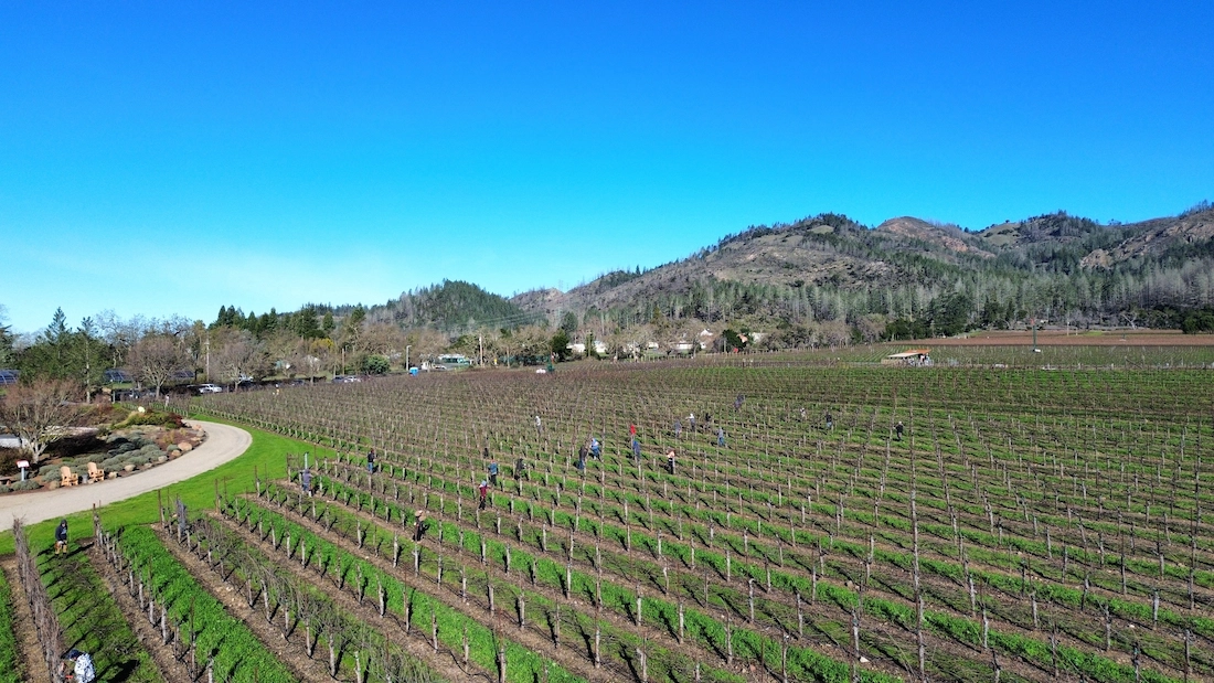 What a great start to the 2024 Vintage!