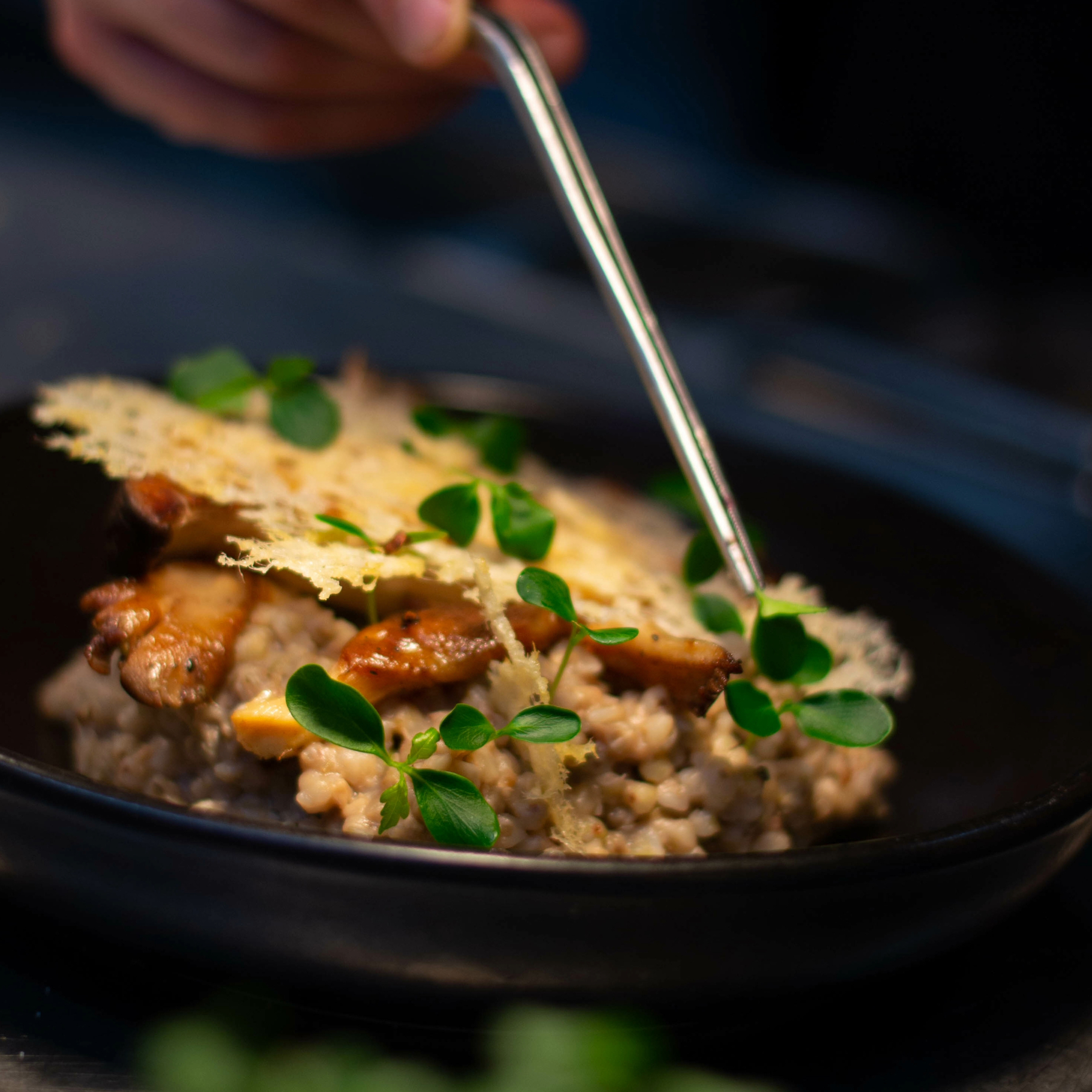 Mushroom Risotto