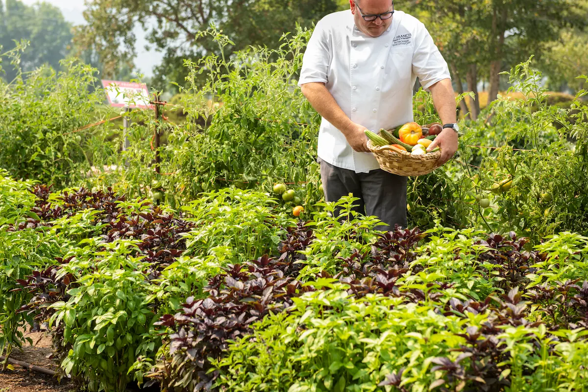 Chef Peter in Garden