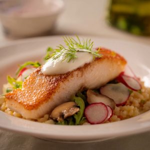 Fresh Spring Wine pairings: King Salmon with Mushroom & Orzo Salad, Spring Radishes, and Green Garlic & Dill Yogurt