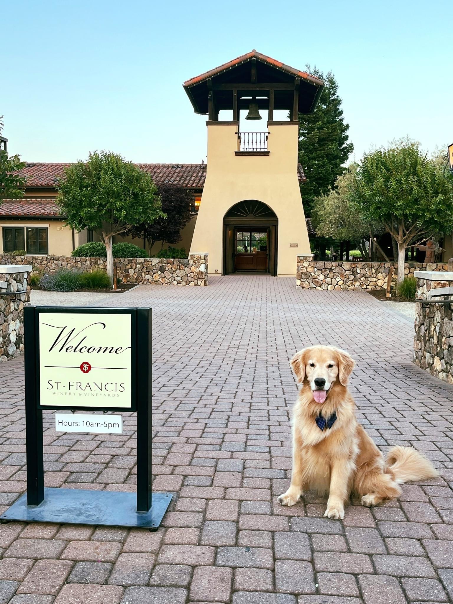 Dog Friendly Winery
