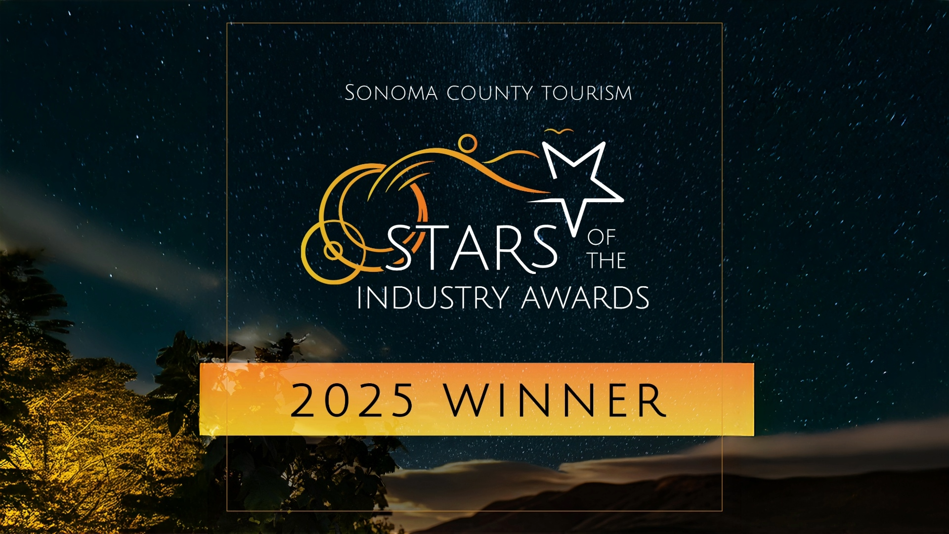 SCT Stars of Industry Winner