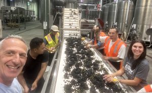 Harvest 2025 Zinfandel Rick and Katie