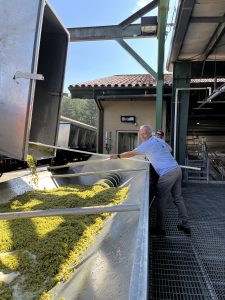 Harvest Haul_Rick