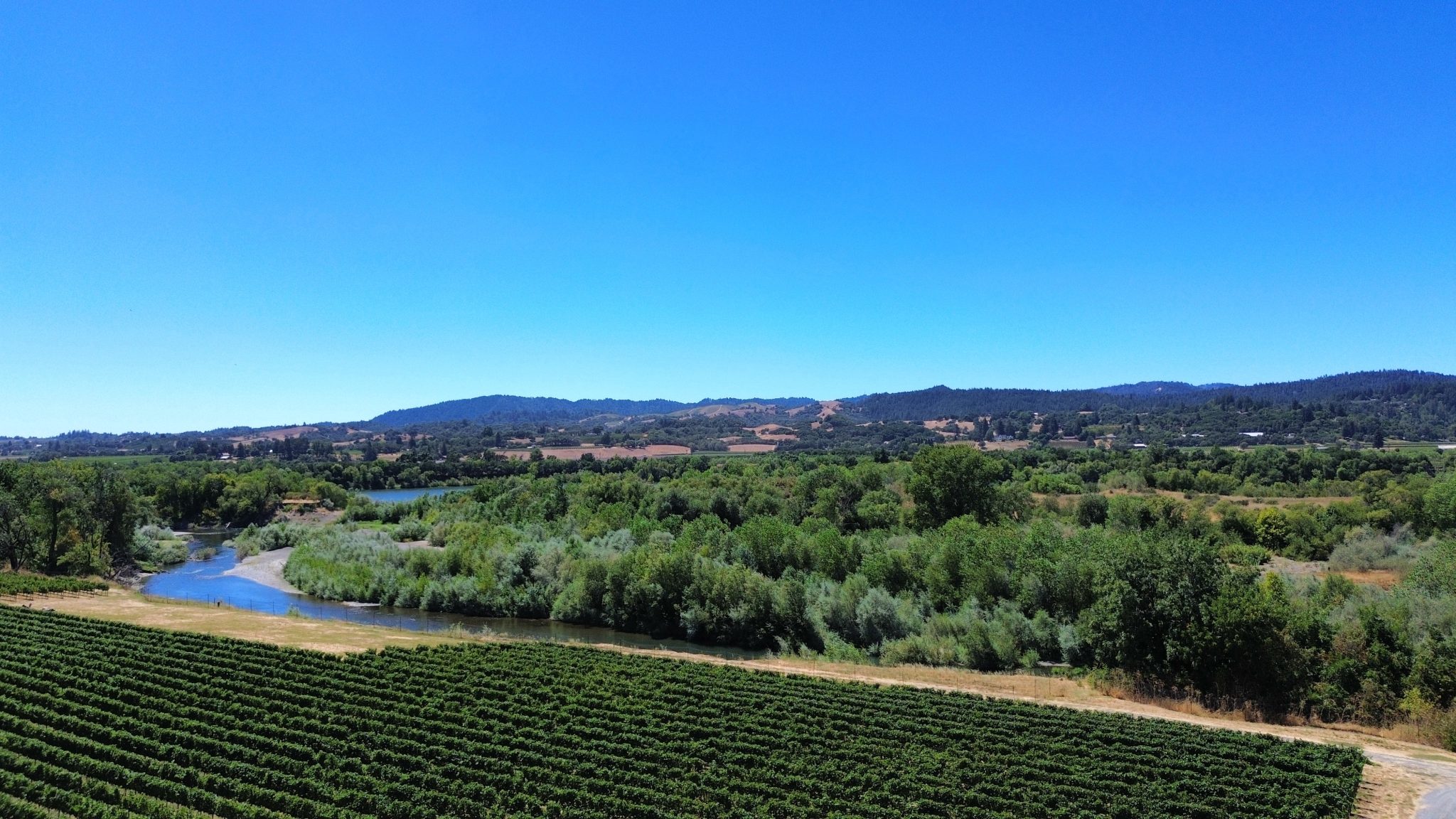 Rio Este Vineyard Russian River Valley