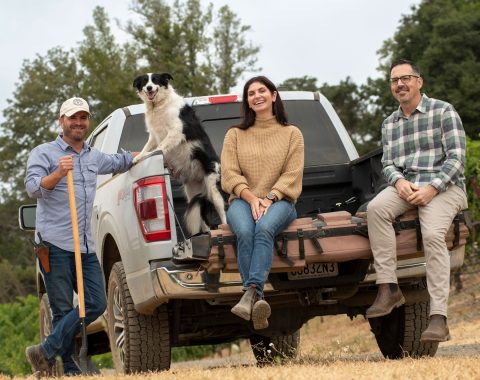 A real winemaking team