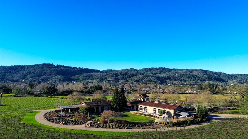 Winter in Wine Country