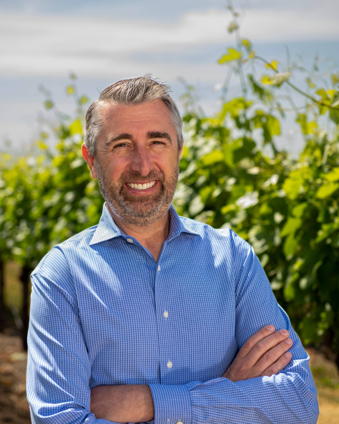 Bob Aldridge St. Francis Winery CFO, COO