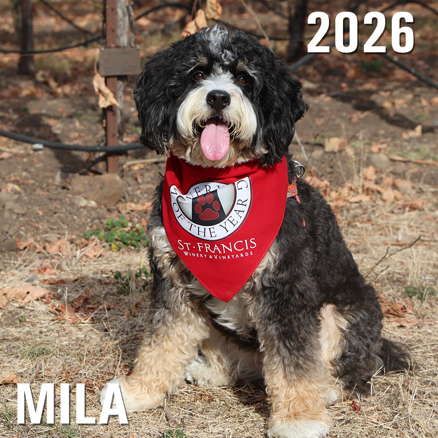 Mila, Winery Dog of the Year in 2026