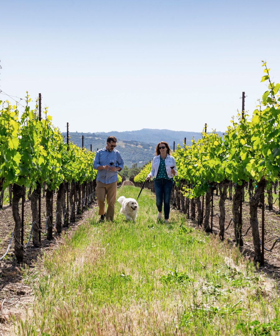 beautiful Sonoma wineries