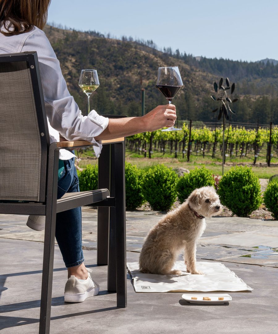 Dog friendly wineries
